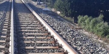 Animale investito da un treno tra Caronia e Torre del Lauro, ripresa la circolazione