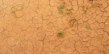 Emergenza siccità in Sicilia, gli invasi sotto il livello di guardia: “Si dichiari lo stato di calamità”