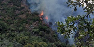 Rodì Milici: incendio sulle colline, la Forestale al lavoro lungo la SP93