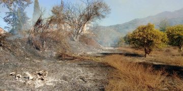 Torrenova: incendio nel pomeriggio nei pressi del torrente Laganeto [FOTO]