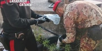 Lancia la droga dal balcone, arrestato dai Carabinieri un pregiudicato