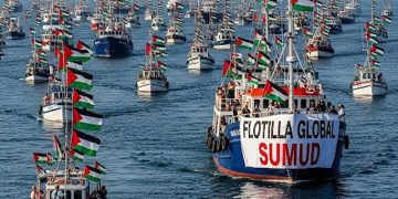 Intervista esclusiva alla Freedom Flotilla: “I nostri attivisti catturati e torturati illegalmente da Israele”