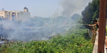 Incendio a Saponara Marittima, fiamme in un terreno: intervento dei Vigili del Fuoco