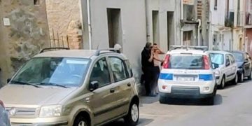 Gatto investito in via Roma a Saponara: il conducente si dà alla fuga, la Polizia Locale sulle sue tracce